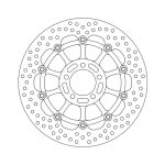 Moto-Master Halo Series Floating Brake Rotor Kawasaki