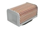 Hiflo HFA2504 Air Filter