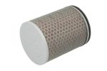 Hiflo HFA1919 Air Filter