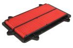 Hiflo HFA3903 Air Filter