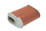 Hiflo HFA1903 Air Filter