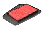 Hiflo HFA1113 Air Filter