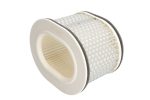 Hiflo HFA4604 Air Filter