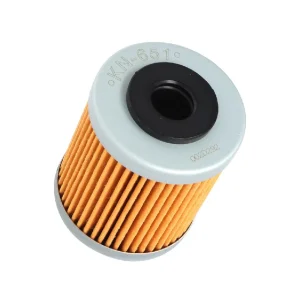 K&N KN-651 Oil Filter