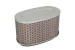 Hiflo HFA1712 Air Filter
