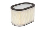 Hiflo HFA3901 Air Filter
