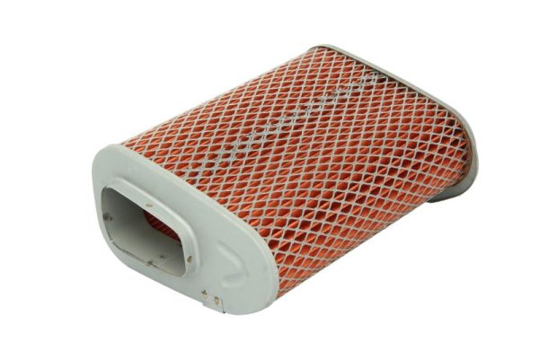 Hiflo HFA1903 Air Filter