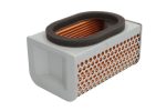 Hiflo HFA2504 Air Filter