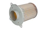Hiflo HFA3801 Air Filter