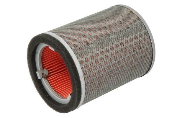 Hiflo HFA1919 Air Filter