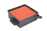 Hiflo HFA5002 Air Filter