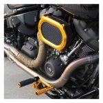 Arlen Ness Stage 2 Oval Upgrade Air Cleaner Kit Gold