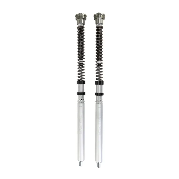Öhlins Cartridge Kit TTX25S FKR 229 Ducati Panigale V4