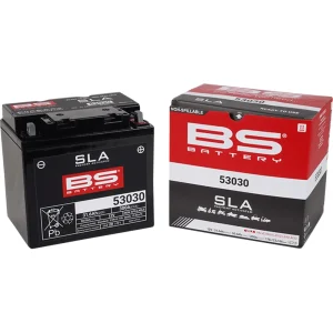 BS Battery 53030 12V 300A 30Ah AGM Maintenance Free Battery, Motoee.com